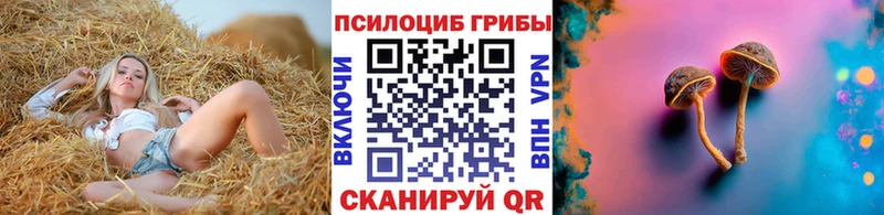 Псилоцибиновые грибы ЛСД  Купить где  Болхов 