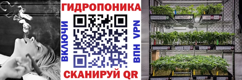 Купить  Болхов  Шишки марихуана план 